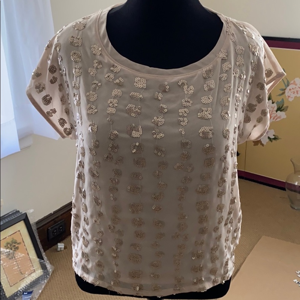 Forever 21 Pullover Sequenced Top.